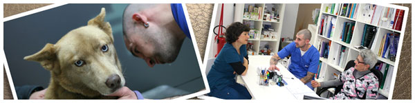 Vetestudio Studio Veterinario Schio Vicenza Vetestudio Studio Veterinario Schio Vicenza