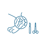 Semplice disegno al tratto di una zampa con una ferita circolare, affiancata da un bisturi e da forbici chirurgiche, che rappresenta servizi veterinari come la chirurgia o le cure mediche per gli animali.