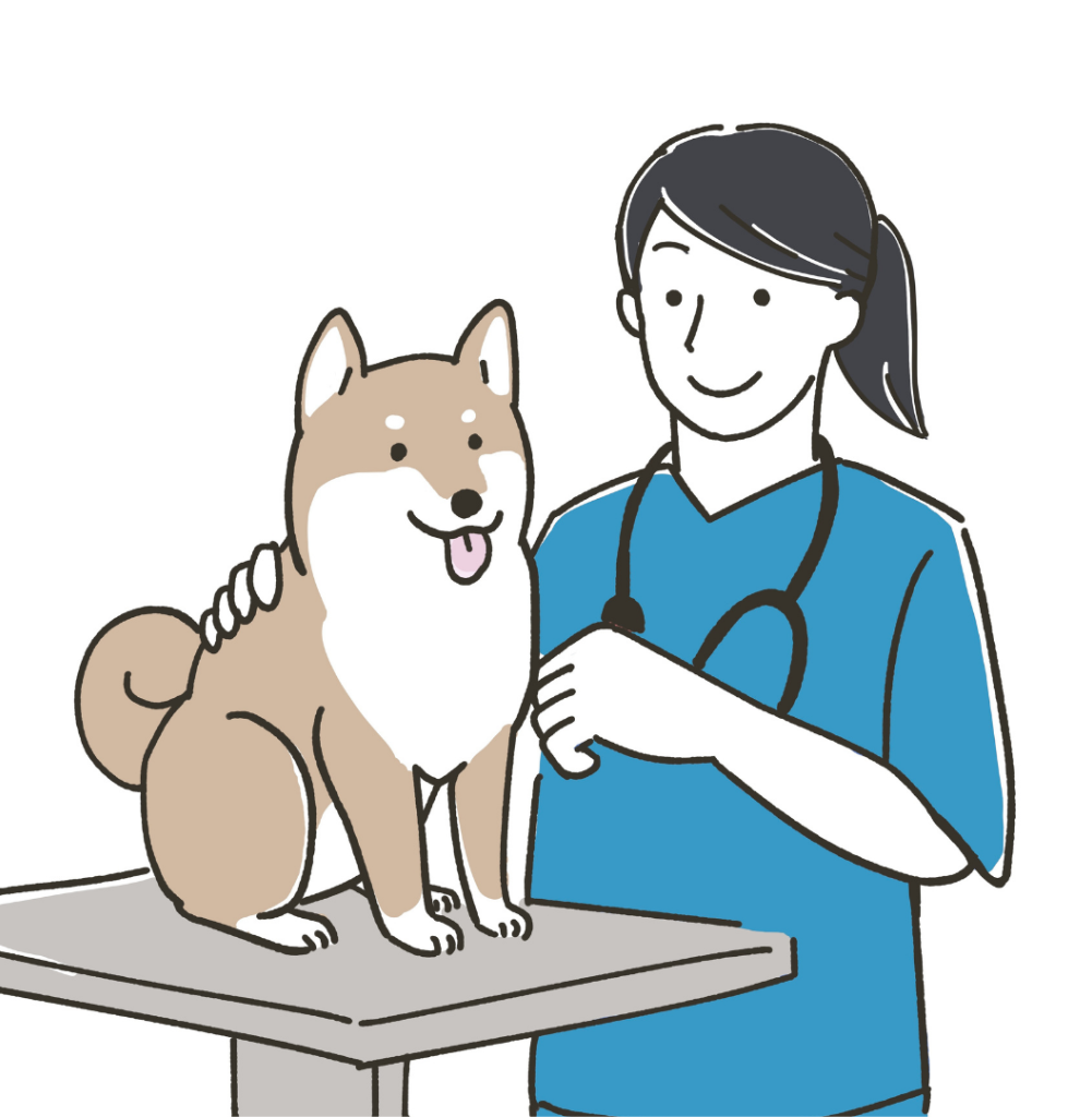 Un veterinario sorridente con i capelli scuri raccolti in una coda di cavallo, parte di un'équipe dedicata, che indossa un camice blu e uno stetoscopio, sta accanto a un cane Shiba Inu felice seduto su un tavolo da visita.